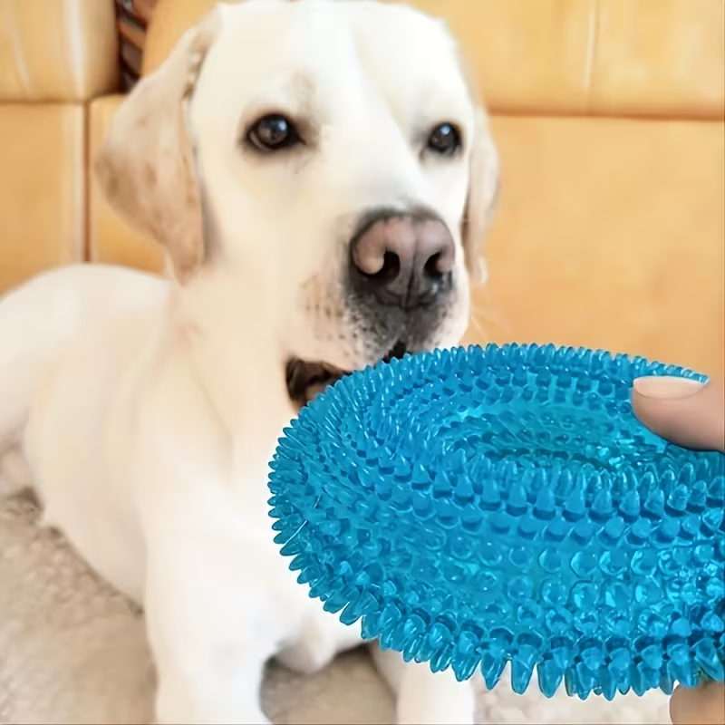 Juguete para Morder en Forma de Dona con Sonido – Juguete Resistente para Perros